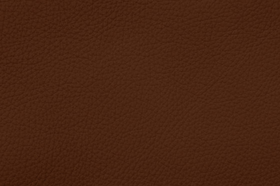 ROYAL C 89112 Cinnamon | Natural leather | BOXMARK Leather GmbH & Co KG