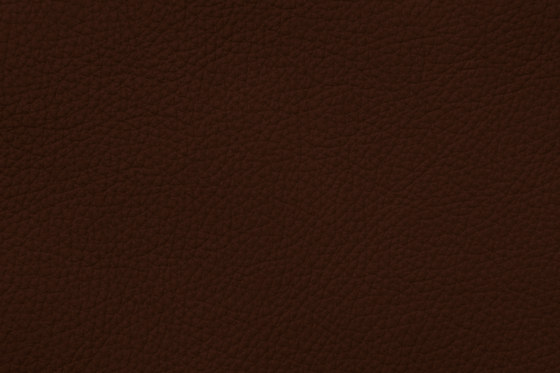 ROYAL C 89139 Walnut | Cuero natural | BOXMARK Leather GmbH & Co KG