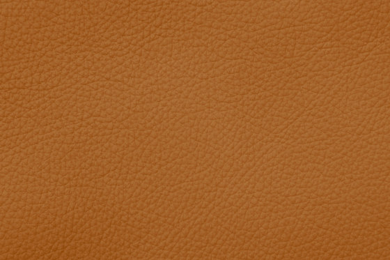 ROYAL C 89180 Gold | Cuero natural | BOXMARK Leather GmbH & Co KG