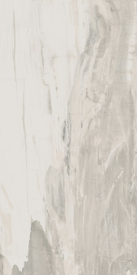 Petrified Wood White | Baldosas de cerámica | ASCOT CERAMICHE