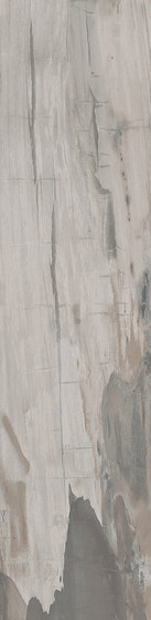Petrified Wood Grey | Ceramic tiles | ASCOT CERAMICHE