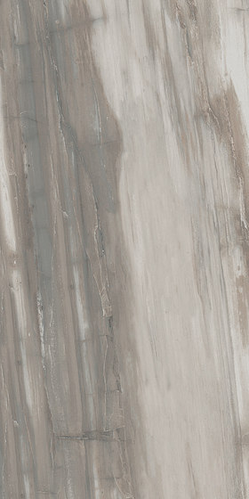 Petrified Wood Grey | Keramik Fliesen | ASCOT CERAMICHE