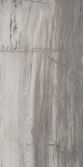 Petrified Wood Grey | Keramik Fliesen | ASCOT CERAMICHE