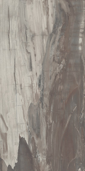 Petrified Wood Musk | Ceramic tiles | ASCOT CERAMICHE