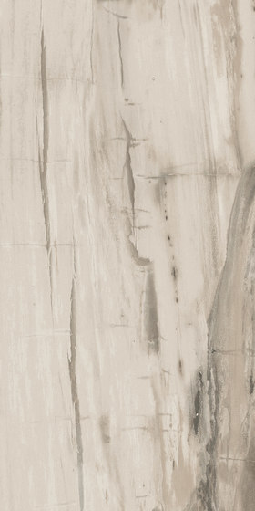 Petrified Wood Beige | Baldosas de cerámica | ASCOT CERAMICHE
