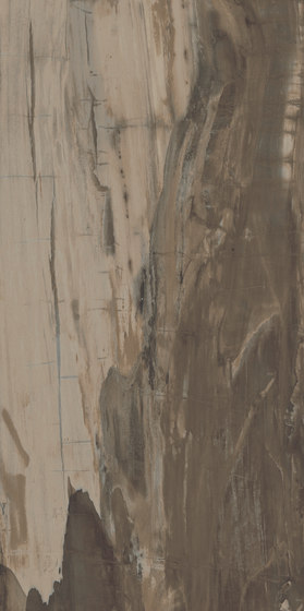 Petrified Wood Brown | Piastrelle ceramica | ASCOT CERAMICHE