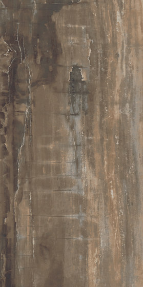 Petrified Wood Brown | Keramik Fliesen | ASCOT CERAMICHE