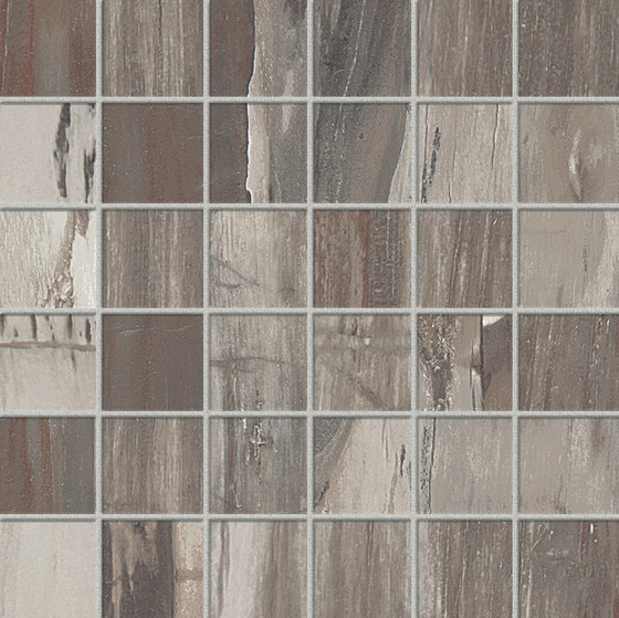 Petrified Wood Musk Mix | Ceramic tiles | ASCOT CERAMICHE