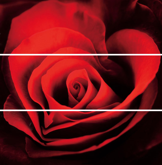 Lumen Black Lux Composizione Rose | Carrelage céramique | ASCOT CERAMICHE