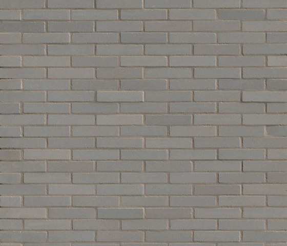 Mews pigeon | Ceramic tiles | Ceramiche Mutina