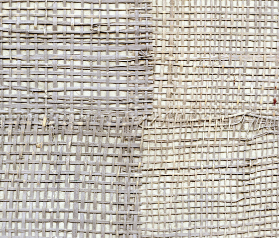 Épure | Pachira RM 666 12 | Tissus de décoration | Elitis