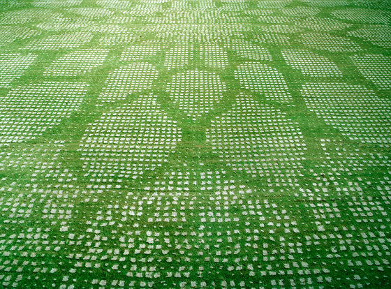 Designer Isfahan Dots in Grass Green | Rugs | Zollanvari