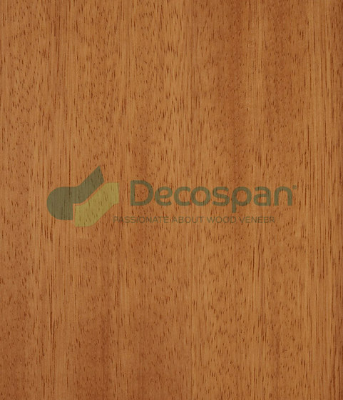 Decospan Afzelia Doussié | Wand Furniere | Decospan