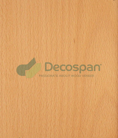 Decospan Beech Steamed | Wand Furniere | Decospan