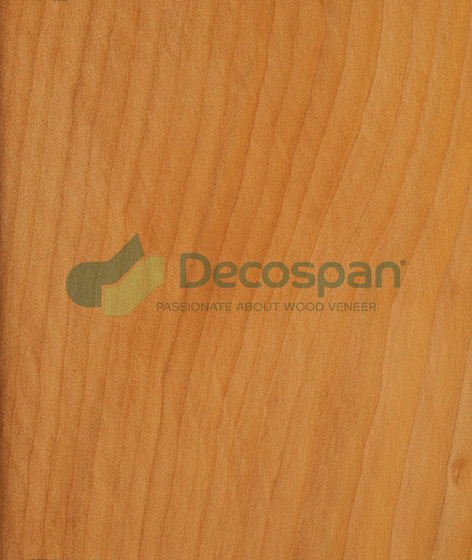 Decospan Cedar Lebanese | Wand Furniere | Decospan