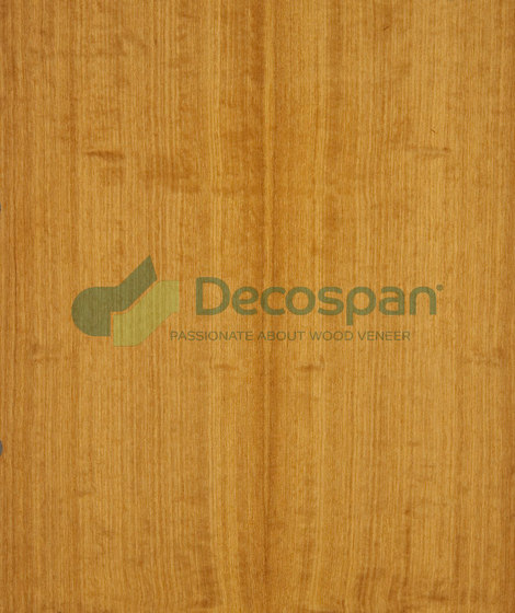 Decospan Satinwood | Wand Furniere | Decospan