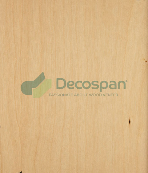 Decospan Birch Rotary | Wand Furniere | Decospan