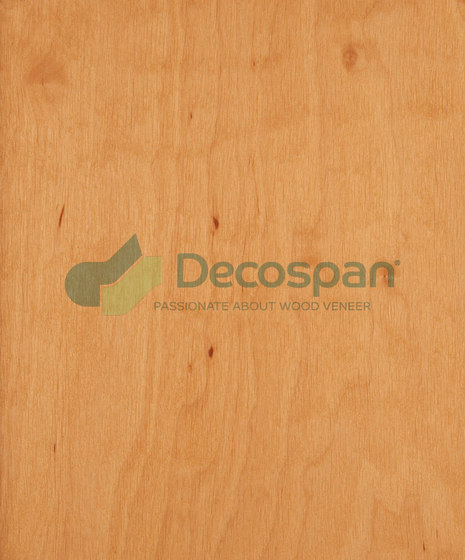 Decospan Alder European | Wand Furniere | Decospan