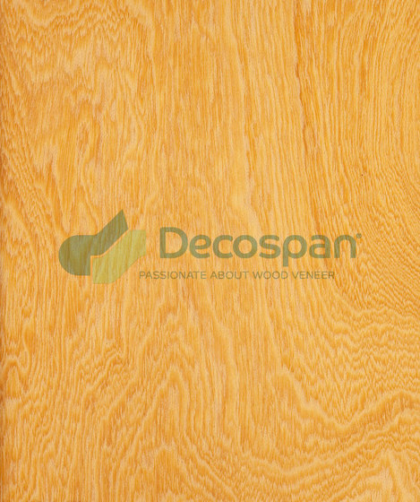 Decospan Eyong Rotary | Placages | Decospan