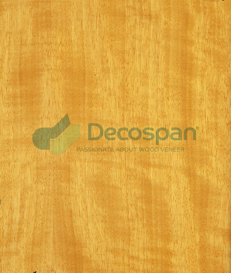 Decospan Movingui | Placages | Decospan