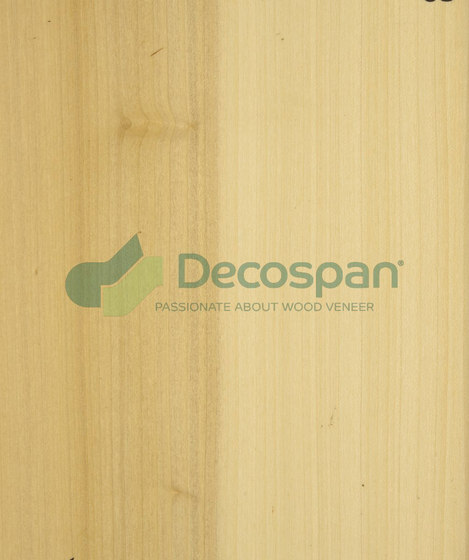 Decospan Poplar Us | Placages | Decospan
