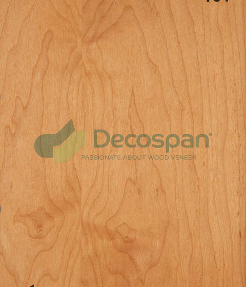 Decospan Sycamore Steamed | Chapas | Decospan