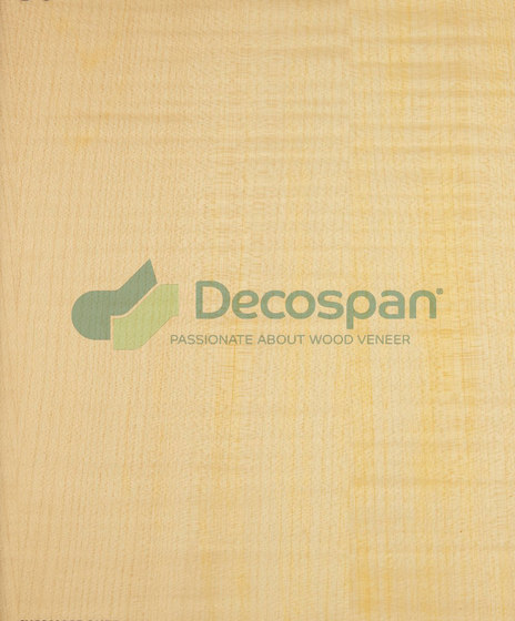 Decospan Sycamore Figured | Wand Furniere | Decospan