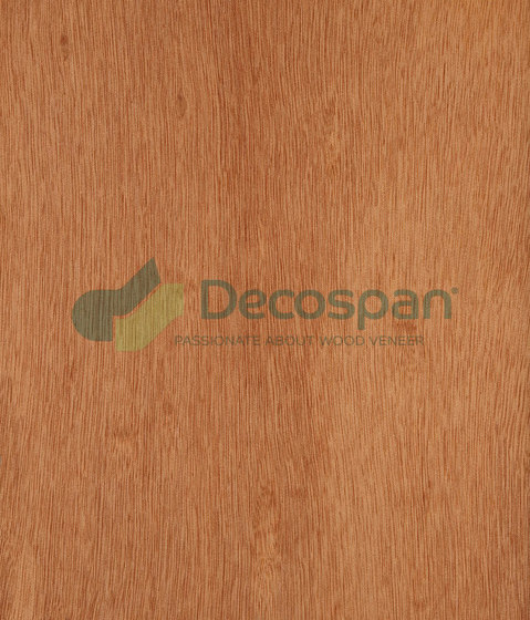Decospan Gaboon Rotary Cut | Wall veneers | Decospan