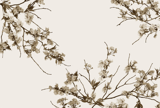 Korean Blossom | Rivestimenti su misura | GLAMORA