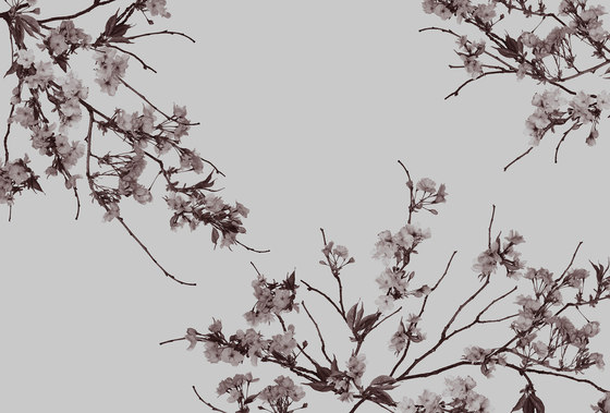 Korean Blossom | Sur mesure | GLAMORA