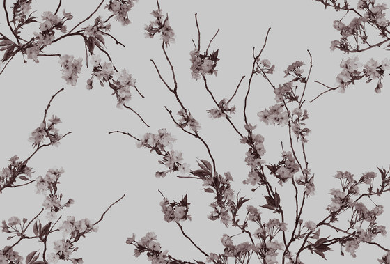 Korean Blossom | Bespoke wall coverings | GLAMORA