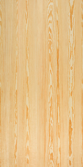 Nordus Honey Pine | Piallacci pareti | Decospan