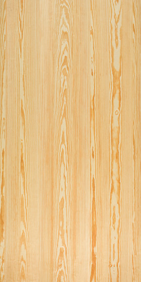 Nordus Honey Pine | Piallacci pareti | Decospan