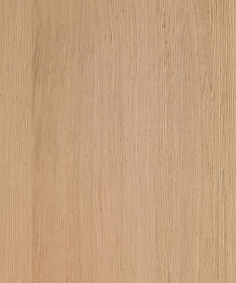 Shinnoki Ivory Oak | Placages | Decospan