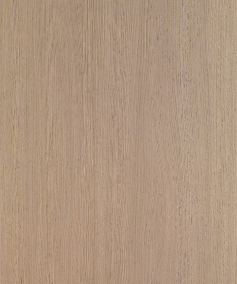 Shinnoki Desert Oak | Wall veneers | Decospan