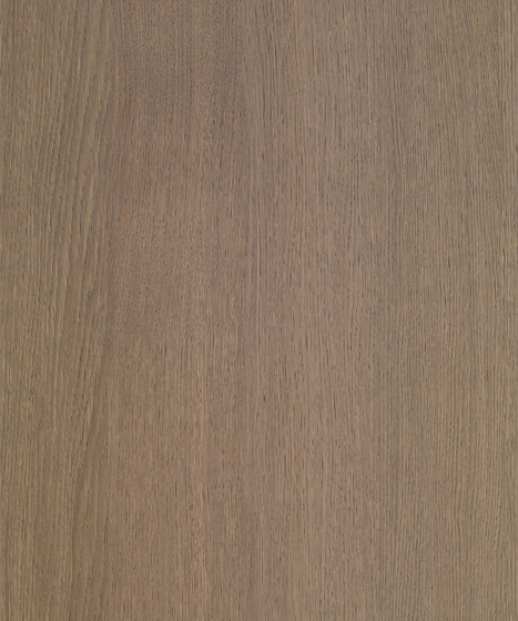 Shinnoki Manhattan Oak | Wall veneers | Decospan