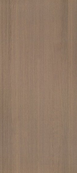 Shinnoki Manhattan Oak | Wand Furniere | Decospan