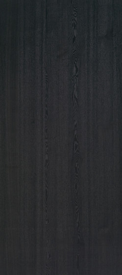 Shinnoki Midnight Ash | Piallacci pareti | Decospan