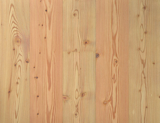 Landhausdiele Lärche Natur | Wood flooring | Trapa