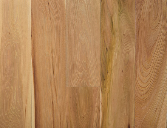 Landhausdiele Rüster | Wood flooring | Trapa