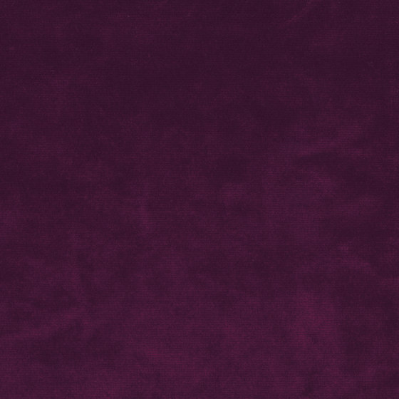 Velours Décontracté - Violet | Upholstery fabrics | Kieffer by Rubelli