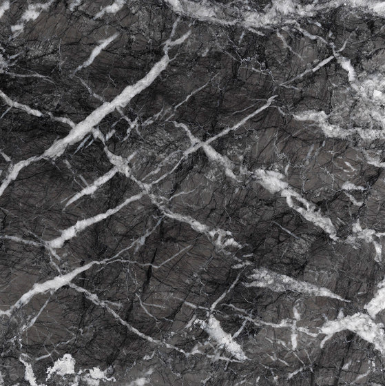 Materialien | grigio carnico | Naturstein Platten | Lithos Design