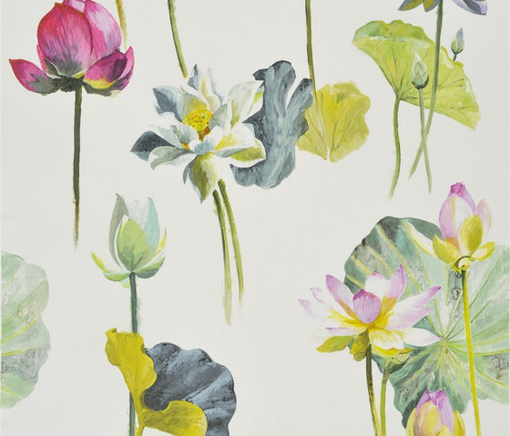 Nymphaea - Camellia | Drapery fabrics | Designers Guild