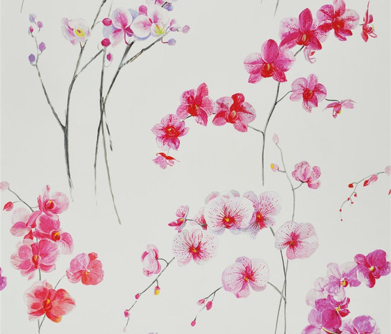 Orchidea - Schiaparelli | Tessuti decorative | Designers Guild
