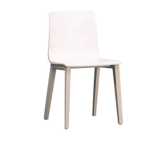 Smilla Tecnopolimero | Chairs | SCAB Design