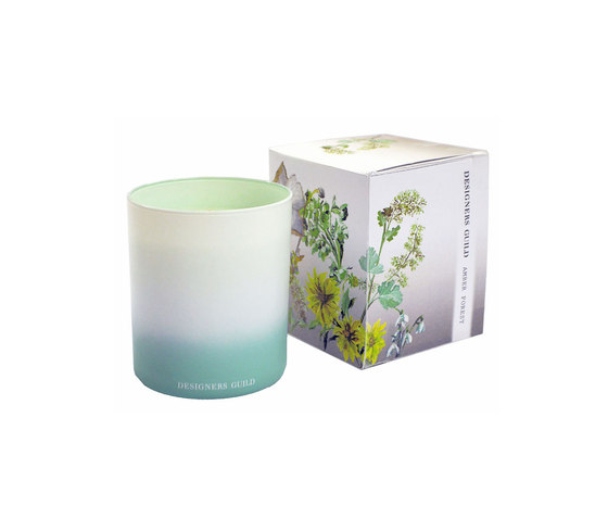 Candles & Diffusers - Amber Forest Candle | Portacandele | Designers Guild
