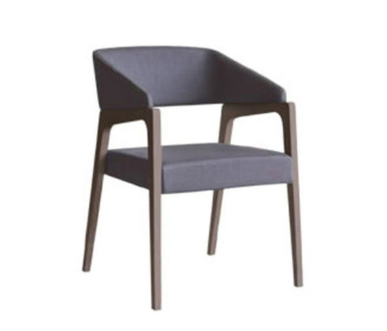 Gala Indoor Armchair | Chairs | Aceray