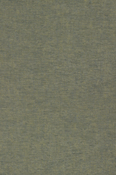 Flax - 0012 | Drapery fabrics | Kvadrat