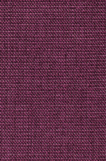 Eco Iqu 280019-9264 | Teppichböden | Carpet Concept