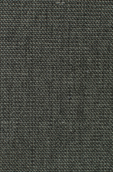 Eco Iqu 280019-54356 | Moquette | Carpet Concept